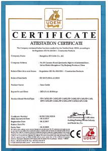 UDEM(CPR)证书-网络线 DEU(17)-11-H1034cpr