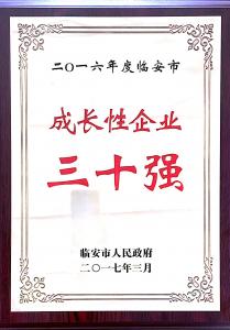 2016年度临安市成长性企业三十强