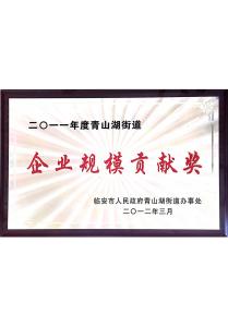 2011年度青山湖街道企业规模贡献奖